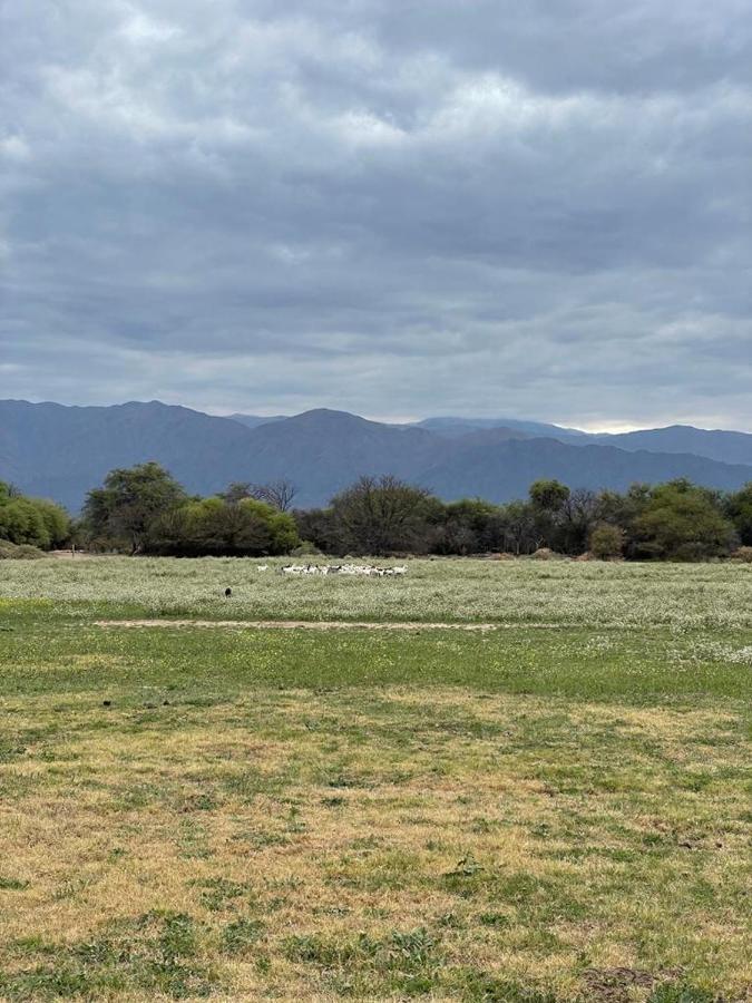 La Vaca Tranquila Otel San Carlos  Dış mekan fotoğraf